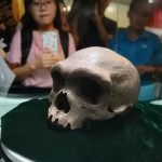 ระบบสุริยะเคลื่อนที่เร็วเกินกว่าที่เคยคิดไว้ และมันอาจสั่นคลอนทฤษฎีการกำเนิดเอกภพแบบที่เราเคยเชื่อกัน?