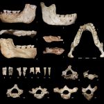 ทรัมป์ อยากกลับมาทดสอบอาวุธนิวเคลียร์อีกครั้ง ?